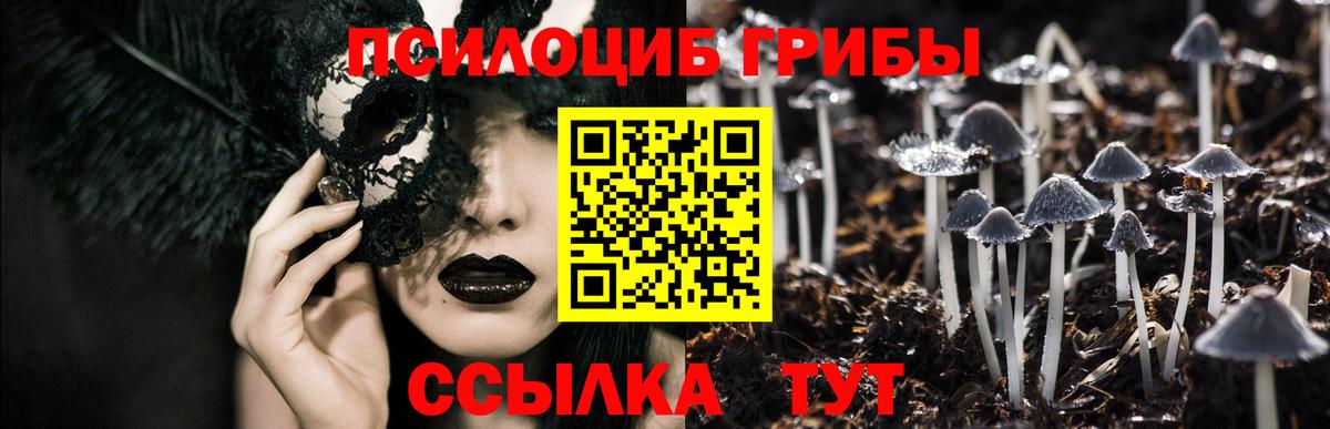 Галлюциногенные грибы мухоморы Горно-Алтайск